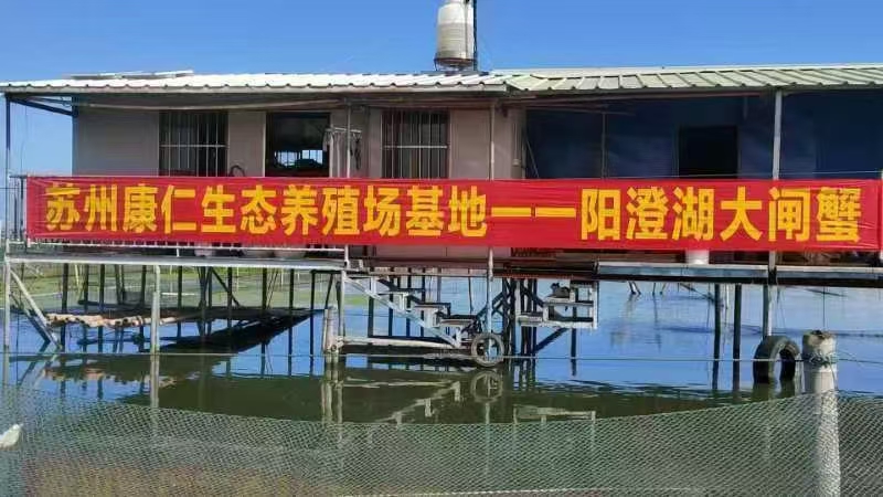 陽澄湖大閘蟹生態體驗